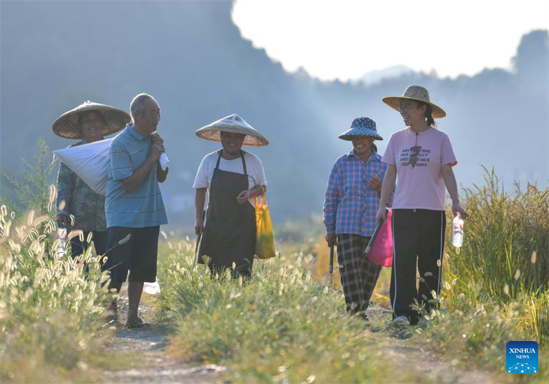 Guizhou : une jeune ouvrière villageoise aide les habitants de Zhouping à développer l'industrie de production de semences de riz