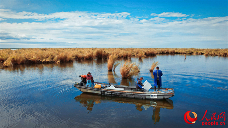 Xinjiang : la pêche aux crabes a commencé à Beitun