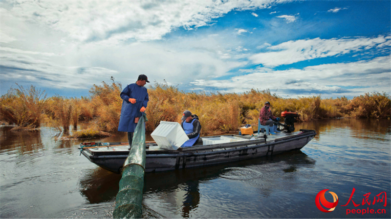 Xinjiang : la pêche aux crabes a commencé à Beitun