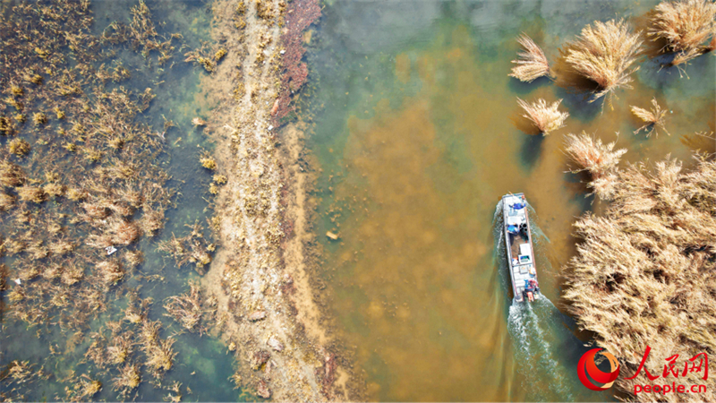 Xinjiang : la pêche aux crabes a commencé à Beitun