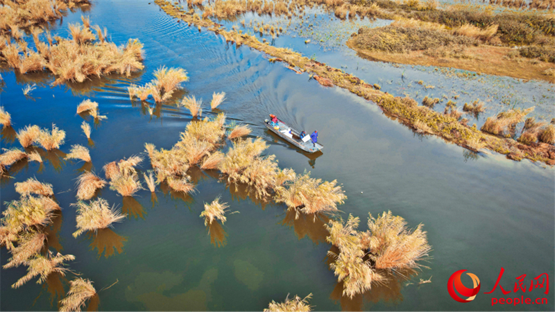 Xinjiang : la pêche aux crabes a commencé à Beitun