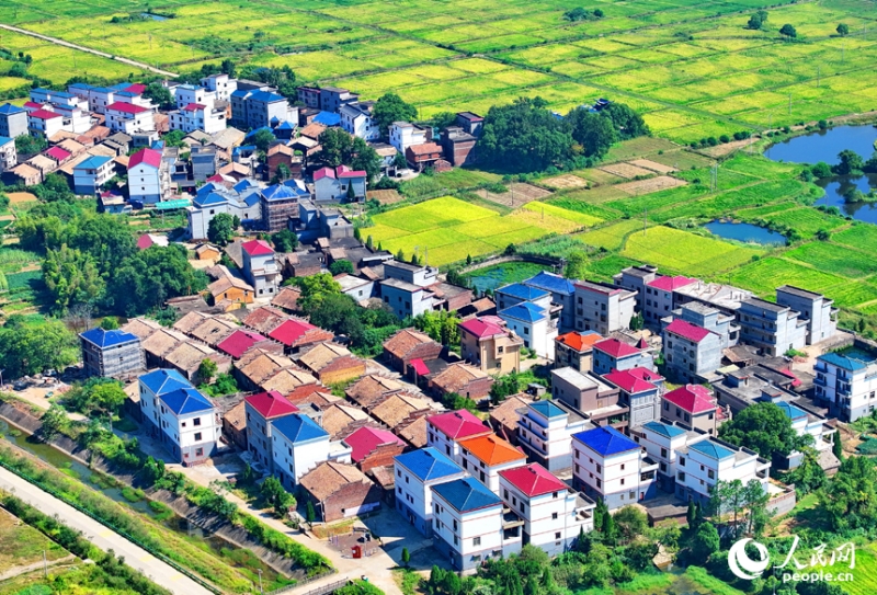 Jiangxi : la campagne harmonieuse et pittoresque de Jishui