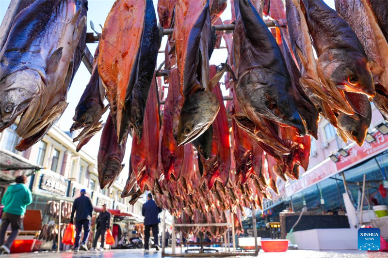 Heilongjiang : le marché aux poissons d'eau douce de Dongji à Fuyuan