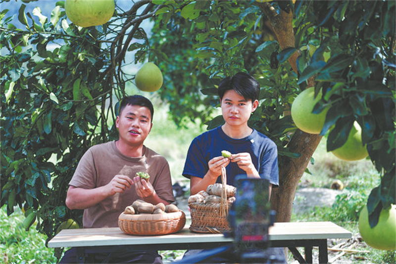 Les charmes des campagnes chinoises suscitent un attrait croissant en ligne