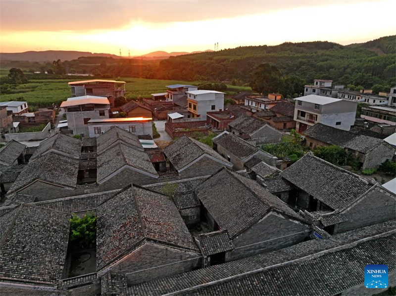 Guangxi : le village traditionnel de Nalu devient une attraction touristique et un lieu incontournable pour les voyages d'études