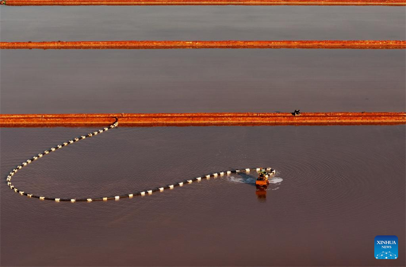 Hebei : la récolte du sel dans les salines de Nanpu à Tangshan