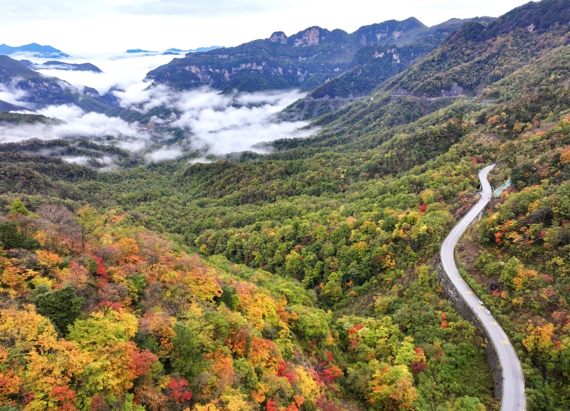 Hubei : Les forêts de Shennongjia se parent de toutes les couleurs et offrent un paysage d'automne pittoresque