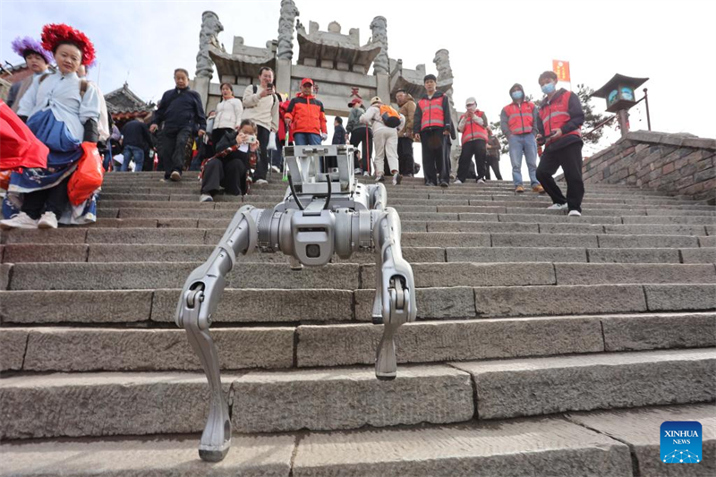 Shandong : un chien robot effectue un test de livraison de charges lourdes sur le site touristique du mont Tai