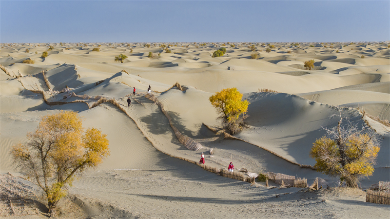 Xinjiang : les magnifiques paysages d'automne le long de l'autoroute du désert du Taklamakan à Hotan