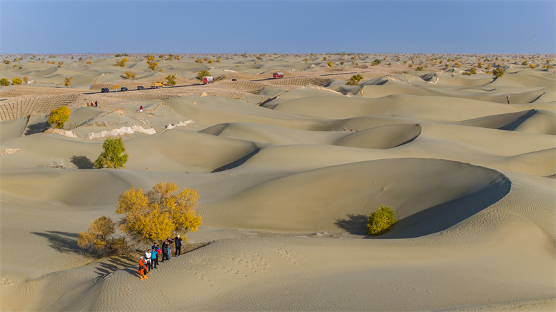 Xinjiang : les magnifiques paysages d'automne le long de l'autoroute du désert du Taklamakan à Hotan