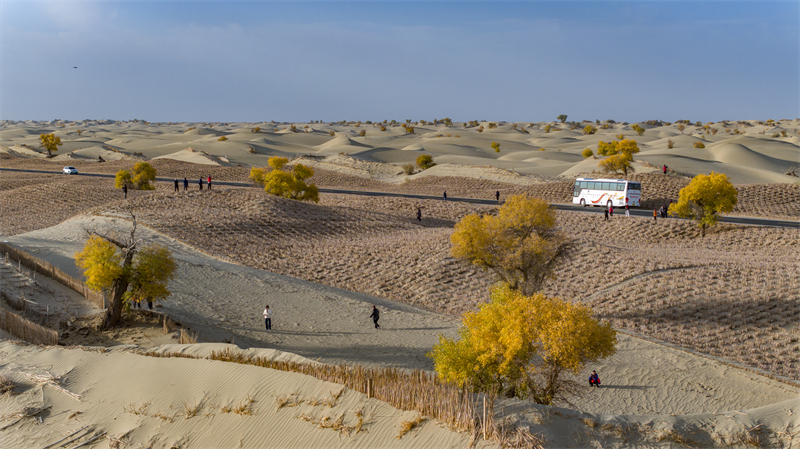 Xinjiang : les magnifiques paysages d'automne le long de l'autoroute du désert du Taklamakan à Hotan