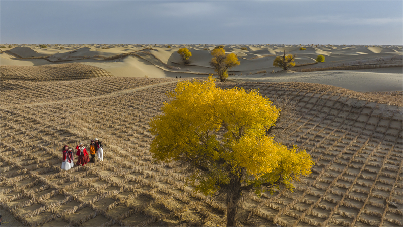 Xinjiang : les magnifiques paysages d'automne le long de l'autoroute du désert du Taklamakan à Hotan