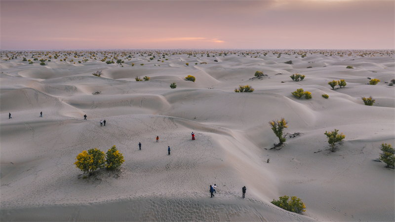 Xinjiang : les magnifiques paysages d'automne le long de l'autoroute du désert du Taklamakan à Hotan