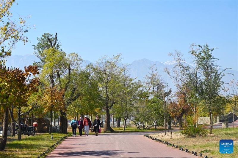 Ningxia : les destinations de tourisme viticole prospèrent près du mont Helan