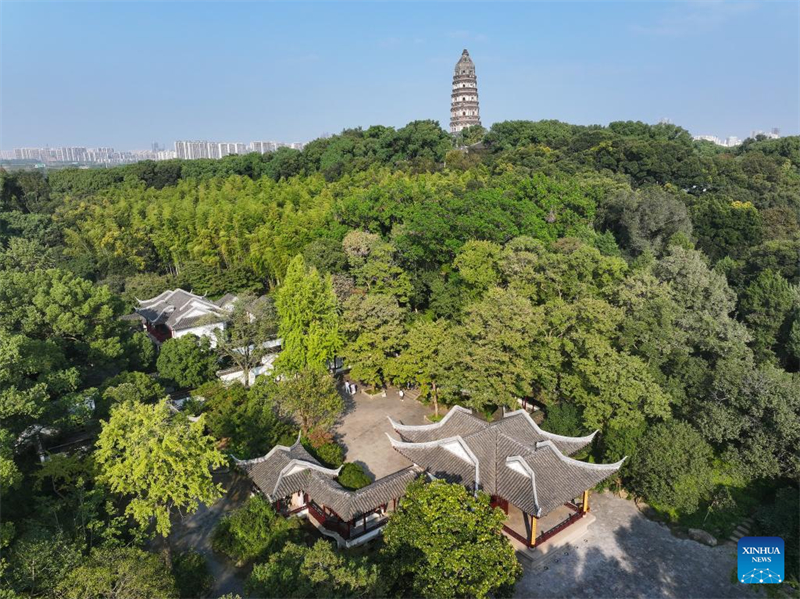 Jiangsu : un aperçu des jardins classiques de Suzhou