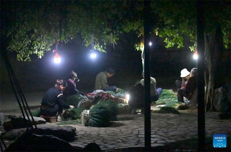 Guangxi : un village engagé dans la culture des oignons verts