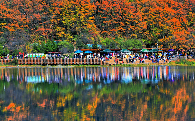 Sichuan : les paysages d'automne pittoresques de Jiuzhaigou envoûtent les touristes