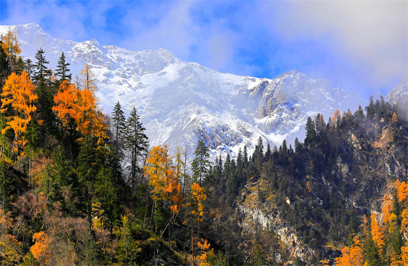 Sichuan : les paysages d'automne pittoresques de Jiuzhaigou envoûtent les touristes