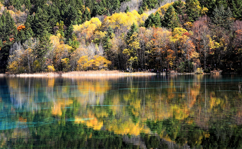 Sichuan : les paysages d'automne pittoresques de Jiuzhaigou envoûtent les touristes