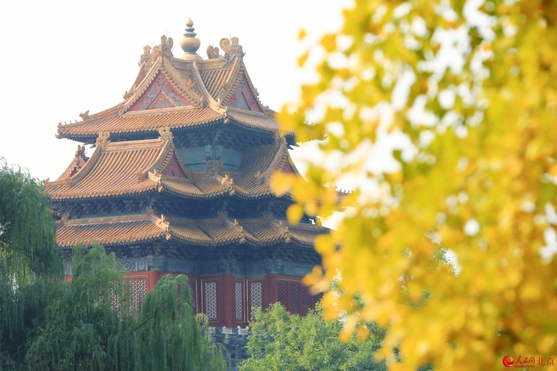 Les magnifiques couleurs de l'automne à Beijing