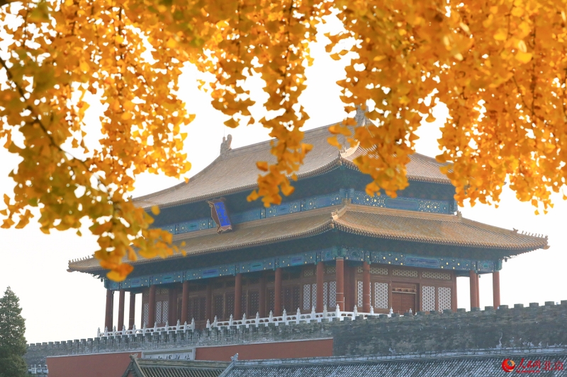 Les magnifiques couleurs de l'automne à Beijing