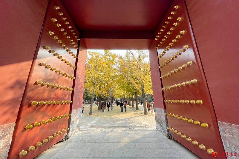 Les magnifiques couleurs de l'automne à Beijing