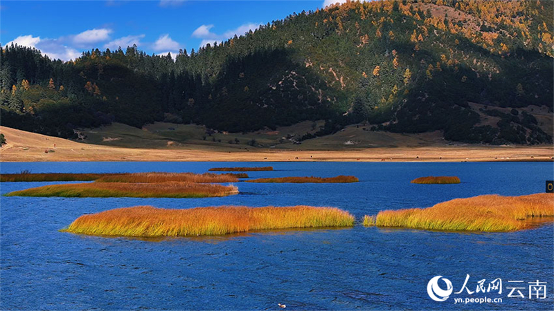 Yunnan : le site coloré, poétique et pittoresque de Pudacuo à Shangri-La