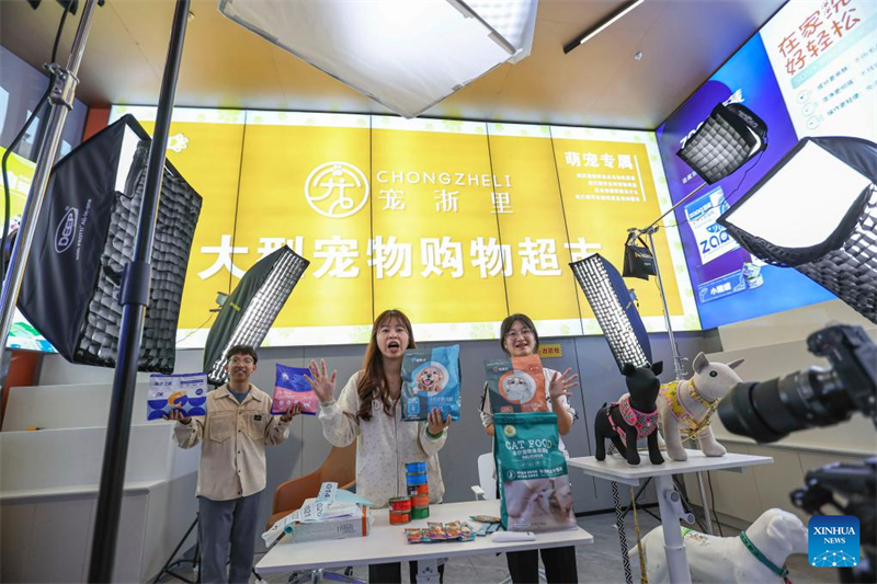 Un aperçu du festival annuel du shopping du « Double 11 » en Chine