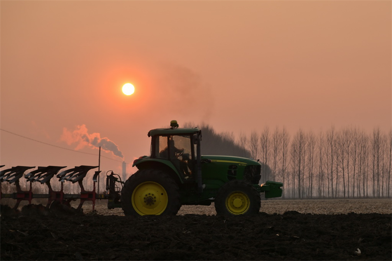 Heilongjiang : la récolte de céréales d'automne est séchée et stockée dans les entrepôts