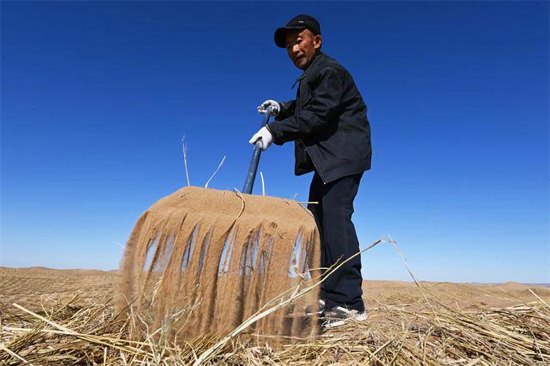 Gansu : la bataille du blocage des lisières du désert est en cours à Minqin