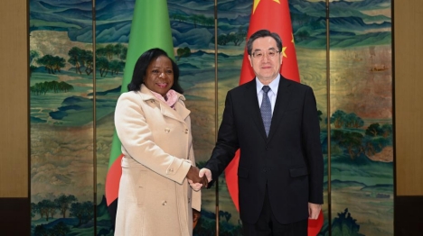 Un vice-PM chinois rencontre la vice-présidente zambienne