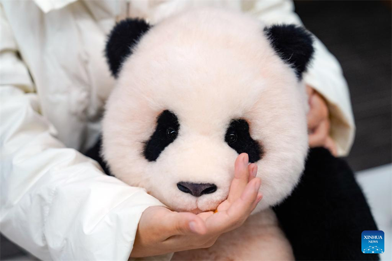 Les jouets innovants chinois sur le thème du panda populaires dans le monde entier