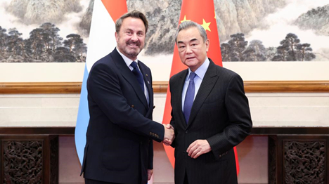 Le ministre chinois des AE s'entretient avec le vice-PM du Luxembourg