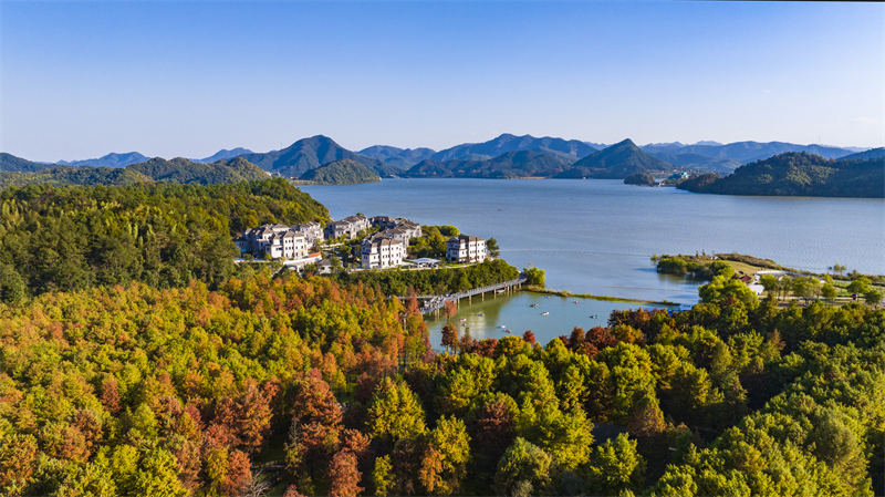 Zhejiang : la forêt aquatique colorée du lac Qingshan à Hangzhou