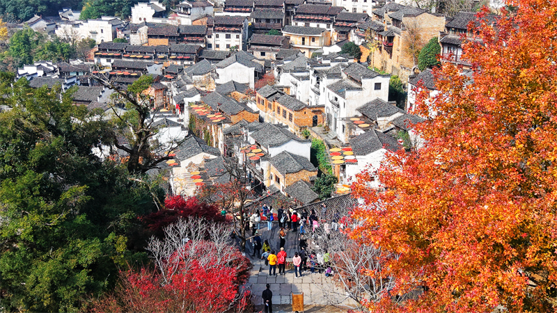 Jiangxi : le séchage des cultures au soleil dans le village de Huangling