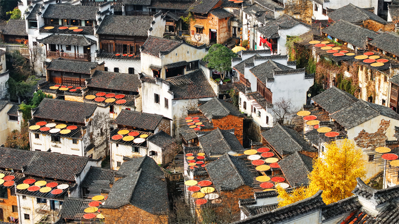 Jiangxi : le séchage des cultures au soleil dans le village de Huangling