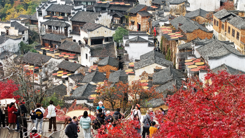 Jiangxi : le séchage des cultures au soleil dans le village de Huangling