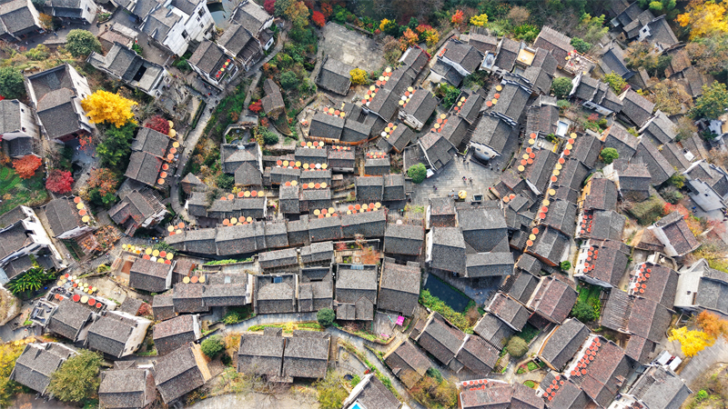 Jiangxi : le séchage des cultures au soleil dans le village de Huangling