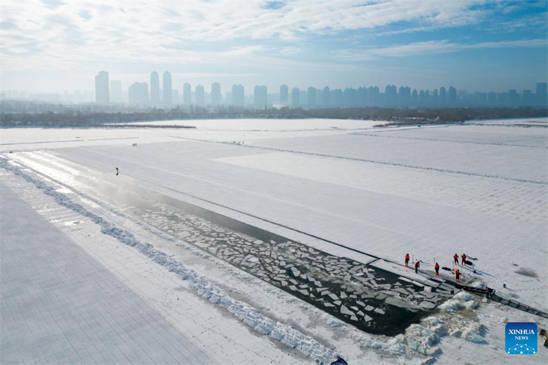 Heilongjiang : la saison de collecte de glace a commencé à Harbin