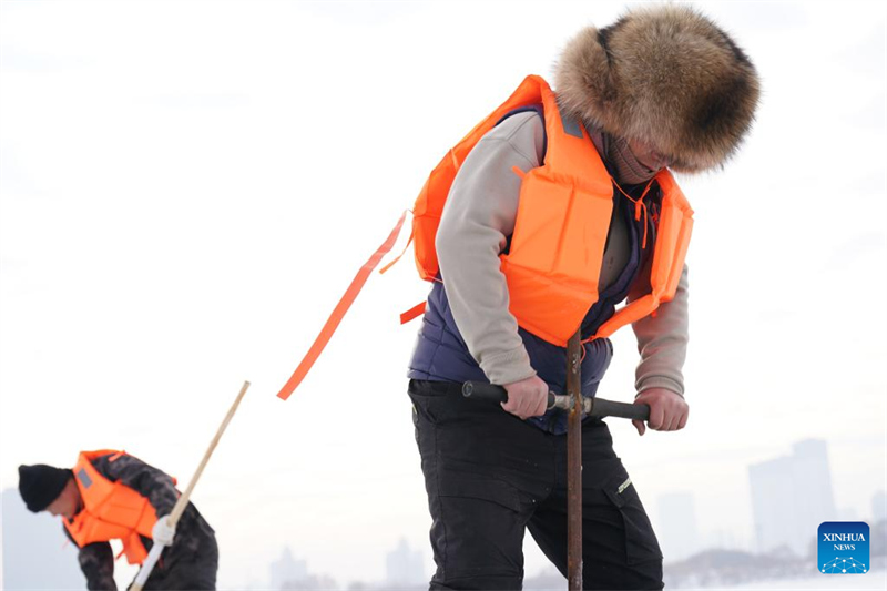 Heilongjiang : la saison de collecte de glace a commencé à Harbin