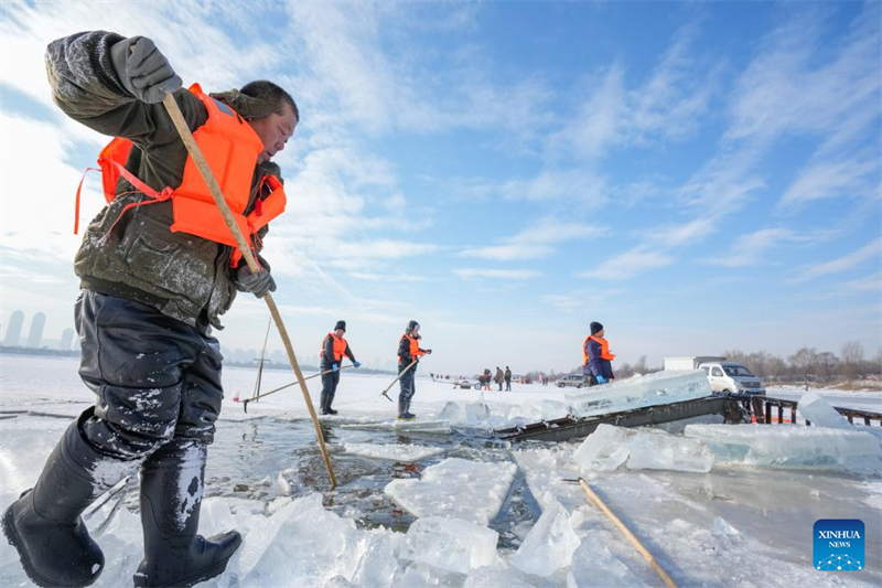 Heilongjiang : la saison de collecte de glace a commencé à Harbin