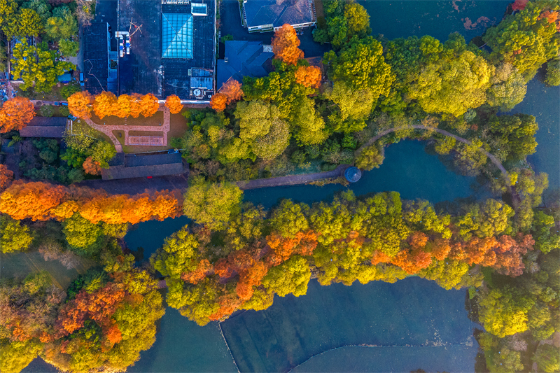 Zhejiang : le magnifique paysage de la digue de Yanggong sur le lac de l'Ouest à Hangzhou