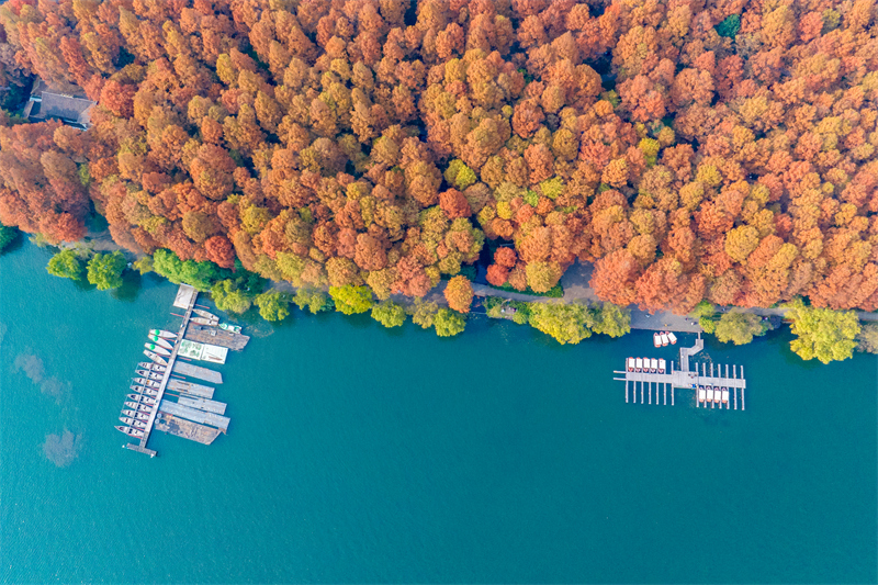 Zhejiang : le magnifique paysage de la digue de Yanggong sur le lac de l'Ouest à Hangzhou