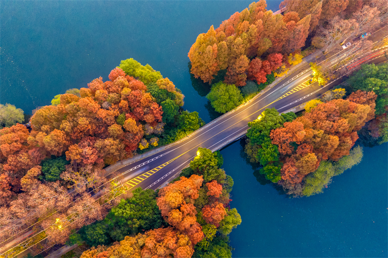 Zhejiang : le magnifique paysage de la digue de Yanggong sur le lac de l'Ouest à Hangzhou