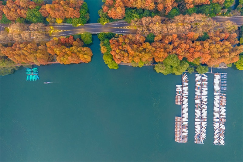 Zhejiang : le magnifique paysage de la digue de Yanggong sur le lac de l'Ouest à Hangzhou