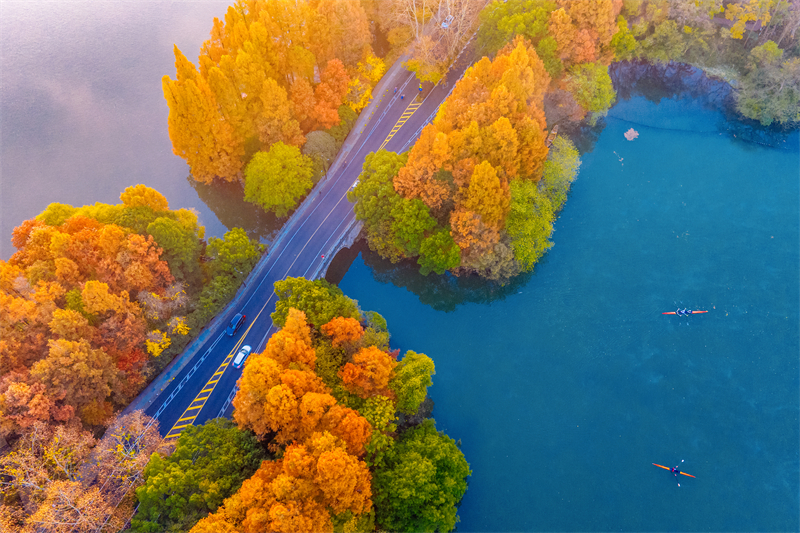 Zhejiang : le magnifique paysage de la digue de Yanggong sur le lac de l'Ouest à Hangzhou