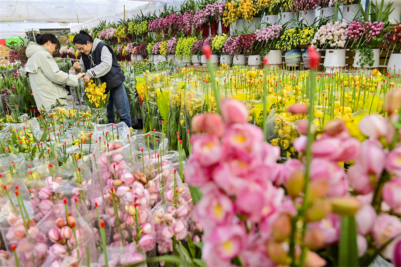 Shandong : à l'approche du Nouvel An, les ventes de fleurs battent leur plein à Qingzhou