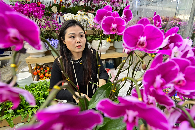 Shandong : à l'approche du Nouvel An, les ventes de fleurs battent leur plein à Qingzhou