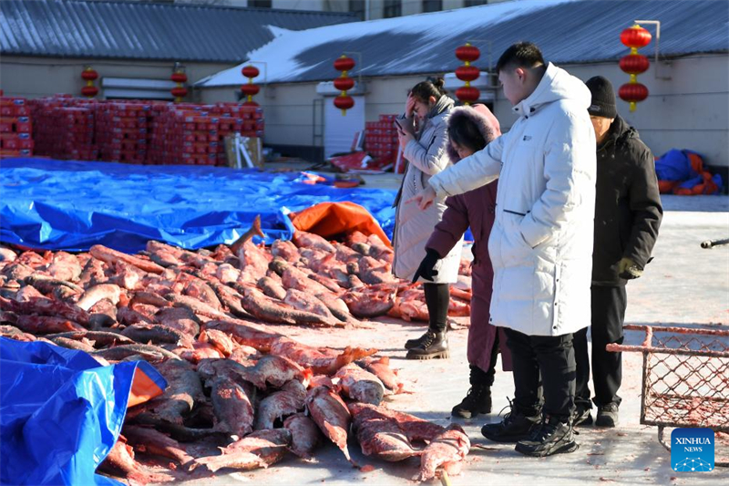 Jilin : ouverture d'un festival de tourisme culturel sur le thème de la pêche hivernale à Songyuan