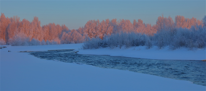 Xinjiang : un magnifique paysage de givre apparaît dans le Parc forestier national de la forêt de Baihua à Habahe